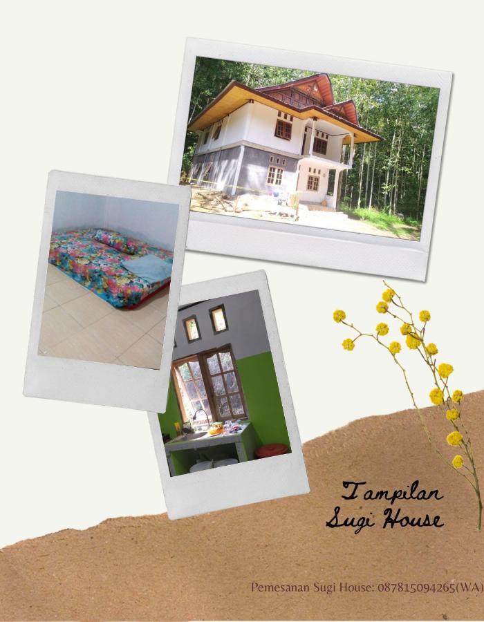 Sugi House Toraja - Villa Penginapan Sewa Harian Rantepao Dış mekan fotoğraf