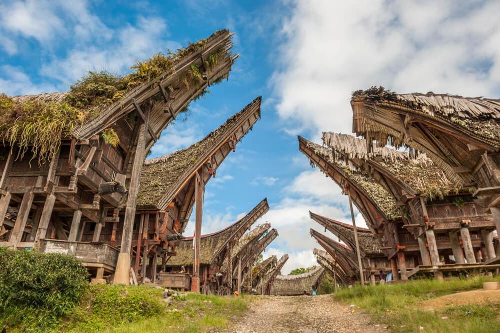 Sugi House Toraja - Villa Penginapan Sewa Harian Rantepao Dış mekan fotoğraf